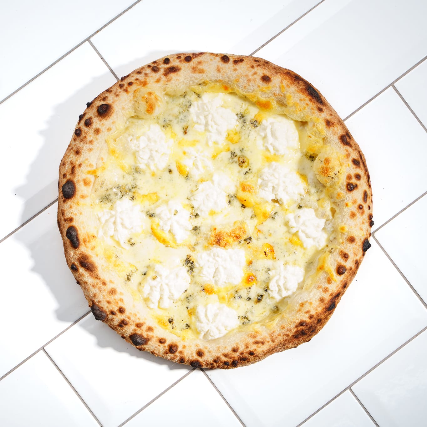ALL CHEESE