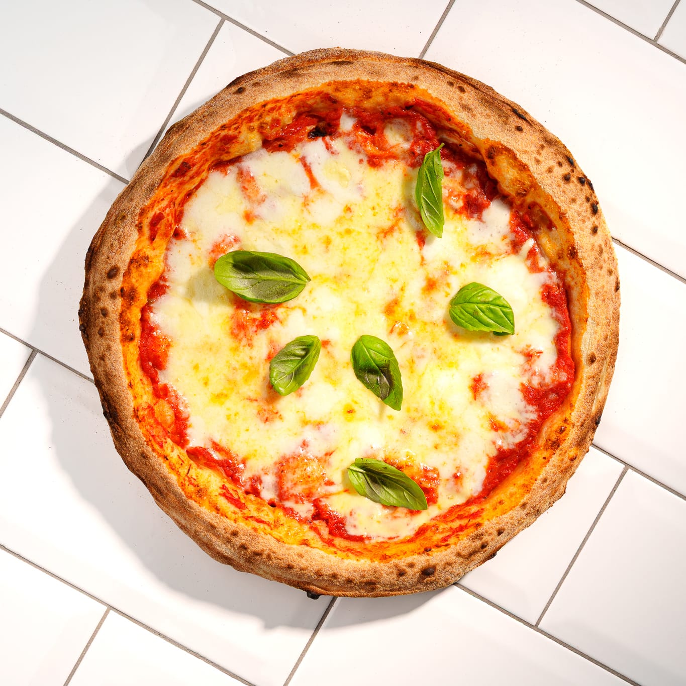 REGULAR (MARGHERITA)